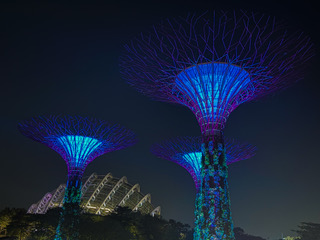 Gardens by the Bay, Singapore — Supertrees illuminated after dark